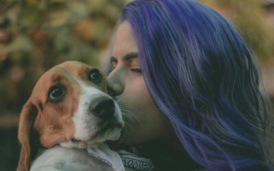 „Nem nehéz, amikor elviszik a kutyát?” – kérdések, amiket ideiglenes befogadóként kapok (válaszokkal)