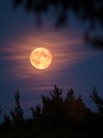 „Sajtból van a Hold?“ Rájöttek a kutatók, hogy mi rejtőzik az égitest legmélyén 
