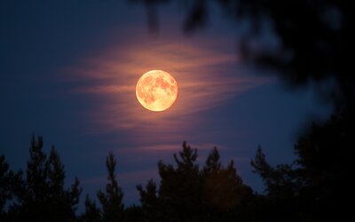 „Sajtból van a Hold?“ Rájöttek a kutatók, hogy mi rejtőzik az égitest legmélyén 