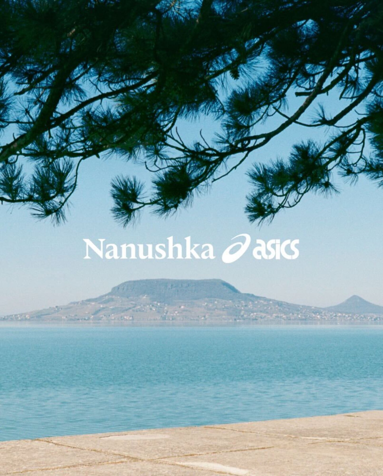 nanushka asics