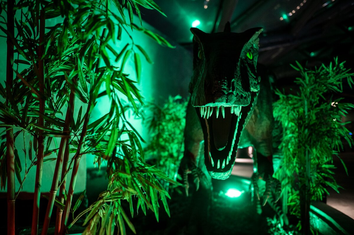 kiállítás, dinoszaurusz