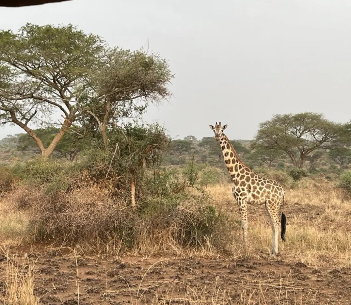 A missziós feladatok elvégzésén túl Zsófiék mindig szakítanak időt, hogy megcsodálják Afrika lenyűgöző természetét is.