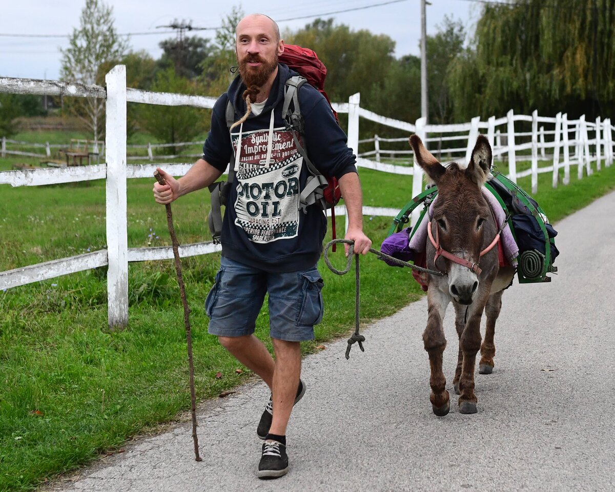 Banka Roland a szamaras zarándok Galícia erdejeiben él, az El Camino mentén