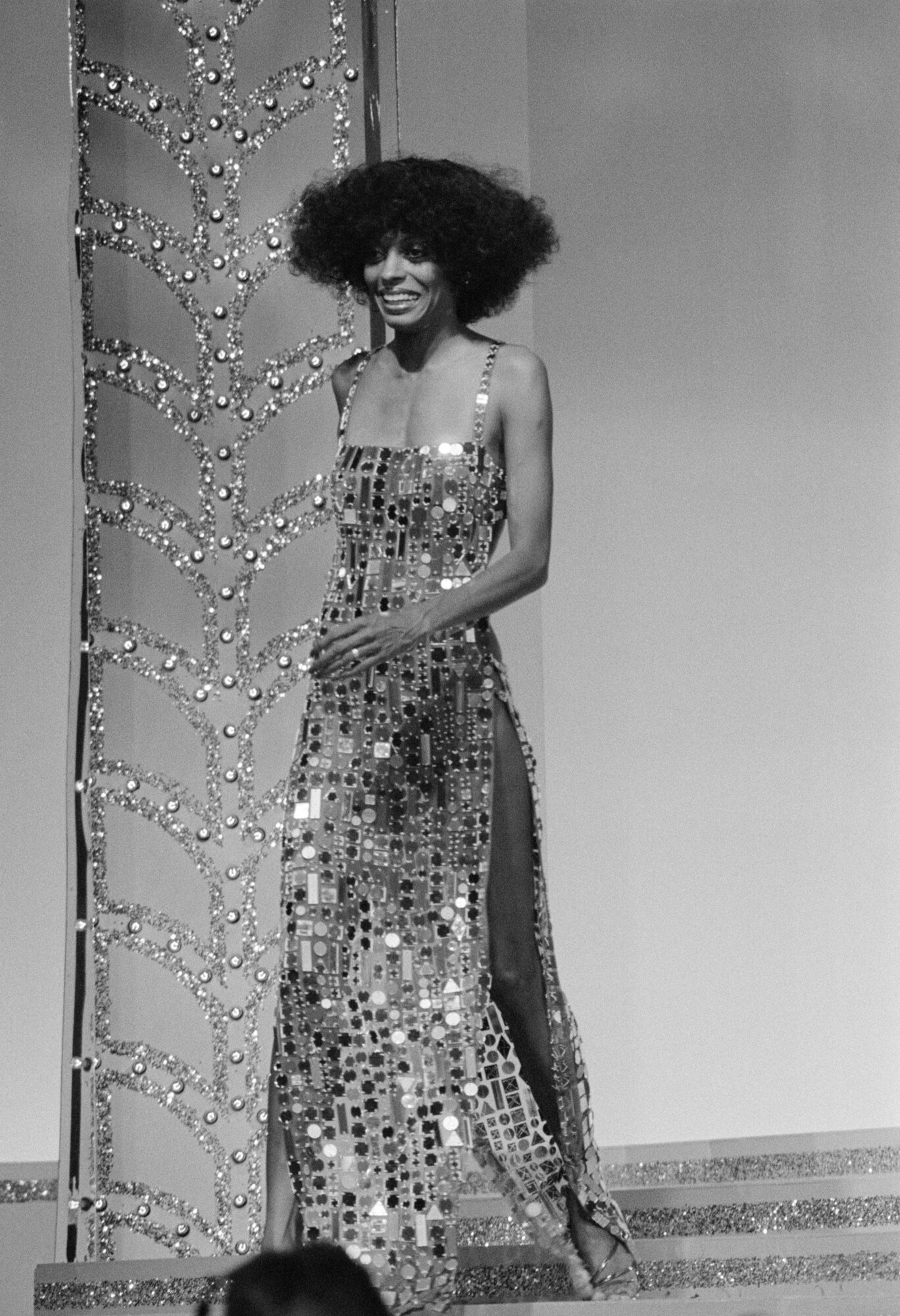 Diana Ernestine Earle Ross (Detroit, Michigan, 1944. március 26. –) Golden Globe- és Tony-díjas amerikai énekesnő, színésznő. Tizenháromszor jelölték Grammy-díjra.
Detroitban született 1944. március 26-án. Szülővárosát a soul, a rhythm and blues bölcsőjének tartották, és itt alakult a fekete előadók legjelentősebb kiadója, a Tamla Motown is, amely Diana első lépéseire is ügyelt.
