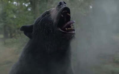 40 kiló kokaint fogyasztott el egy medve - most film készül a történetből