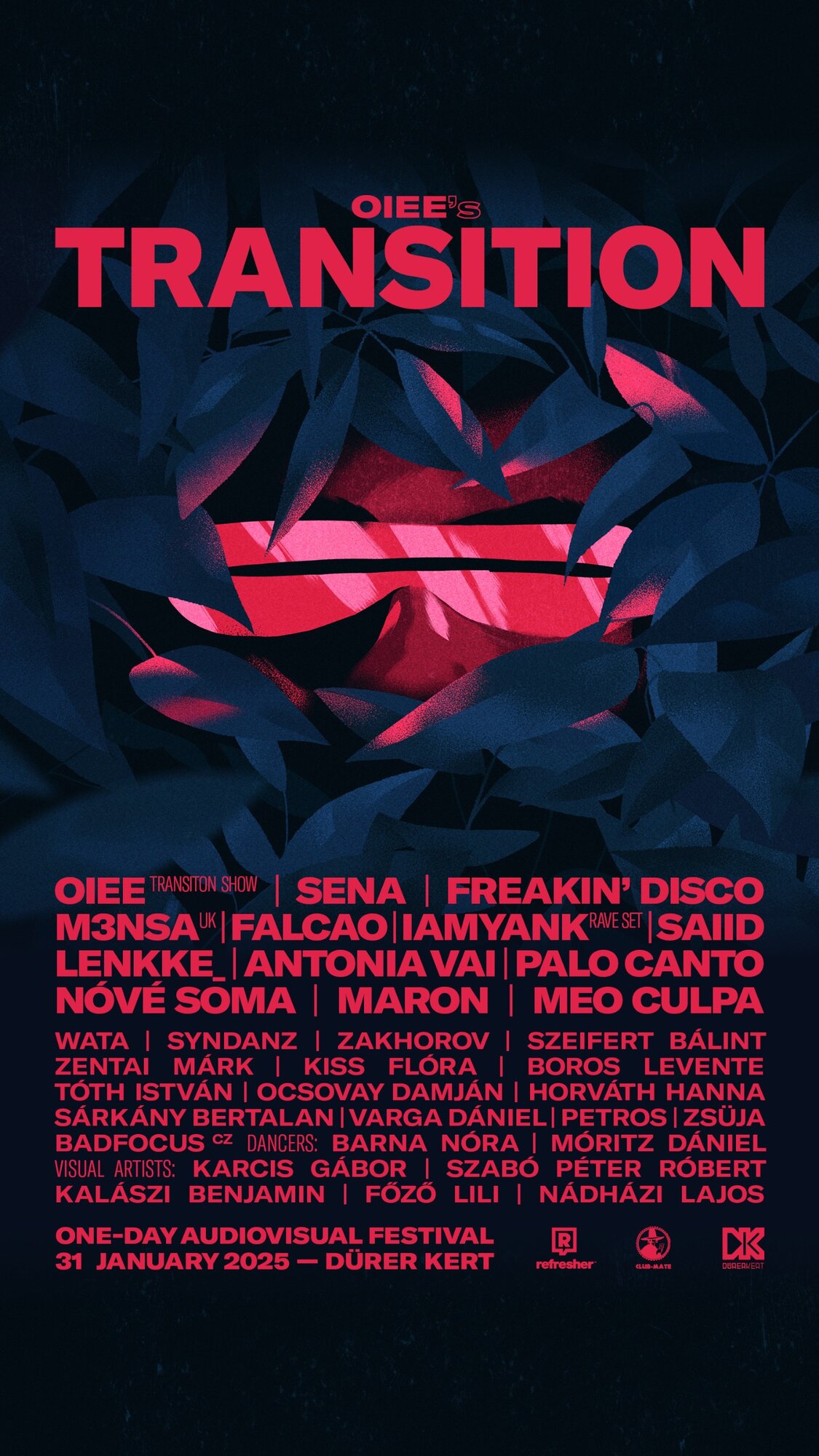 transition fesztival durer kert