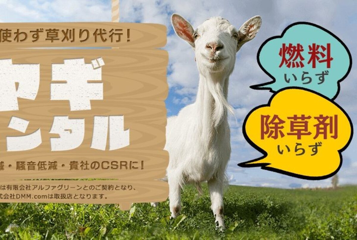 Japanban baratot es baratnot is berelhetsz