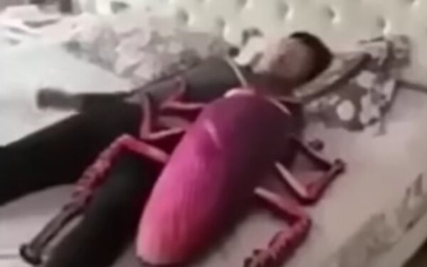 A szeretőcsótányt választom!