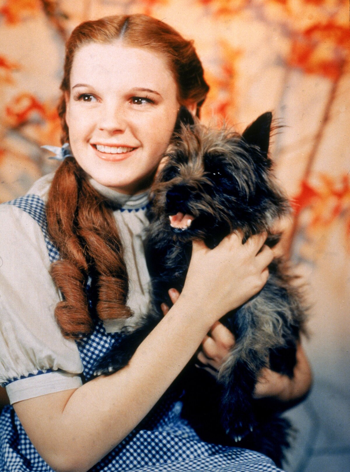 oz a csodak csodaja judy garland terry toto