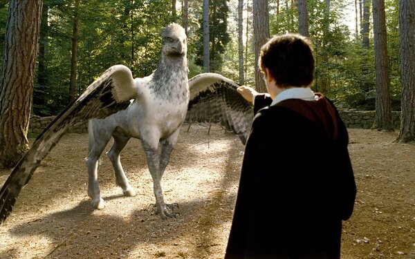 A harmadik részben Hagrid bemutatja a diákoknak Csikócsőrt, a hippogriffet. Mi NEM történik ebben a jelenetben?