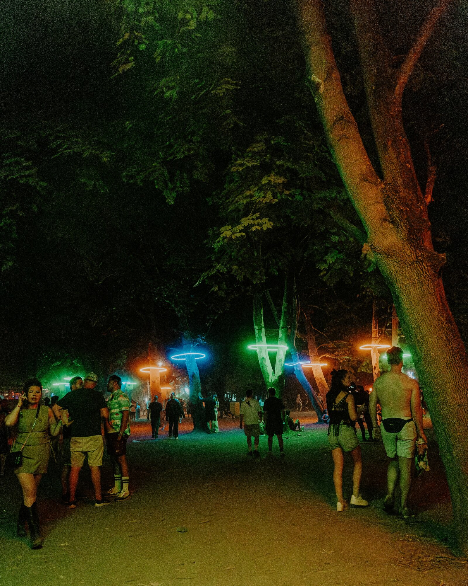 sziget fesztivál koncert zene