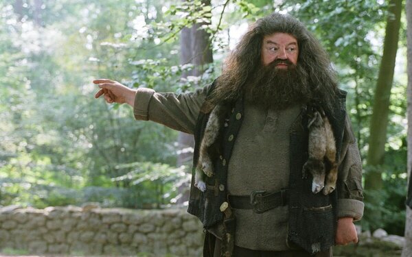 Hagrid rengeteg állatot nevelt. Melyik NEM tartozik az általa gondozottak közé?