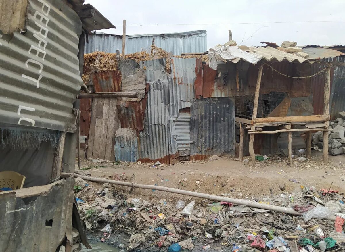 Kenyában két nyomornegyedben kezdi meg a Szívemben született Afrika munkáját.