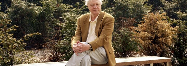 98 év a Föld nevű bolygón: David Attenborough csodálatos élete