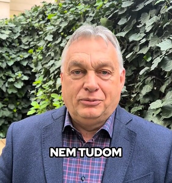 Te tudod?