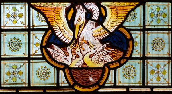 IGAZ VAGY HAMIS: a pelikán húsvéti jelkép?