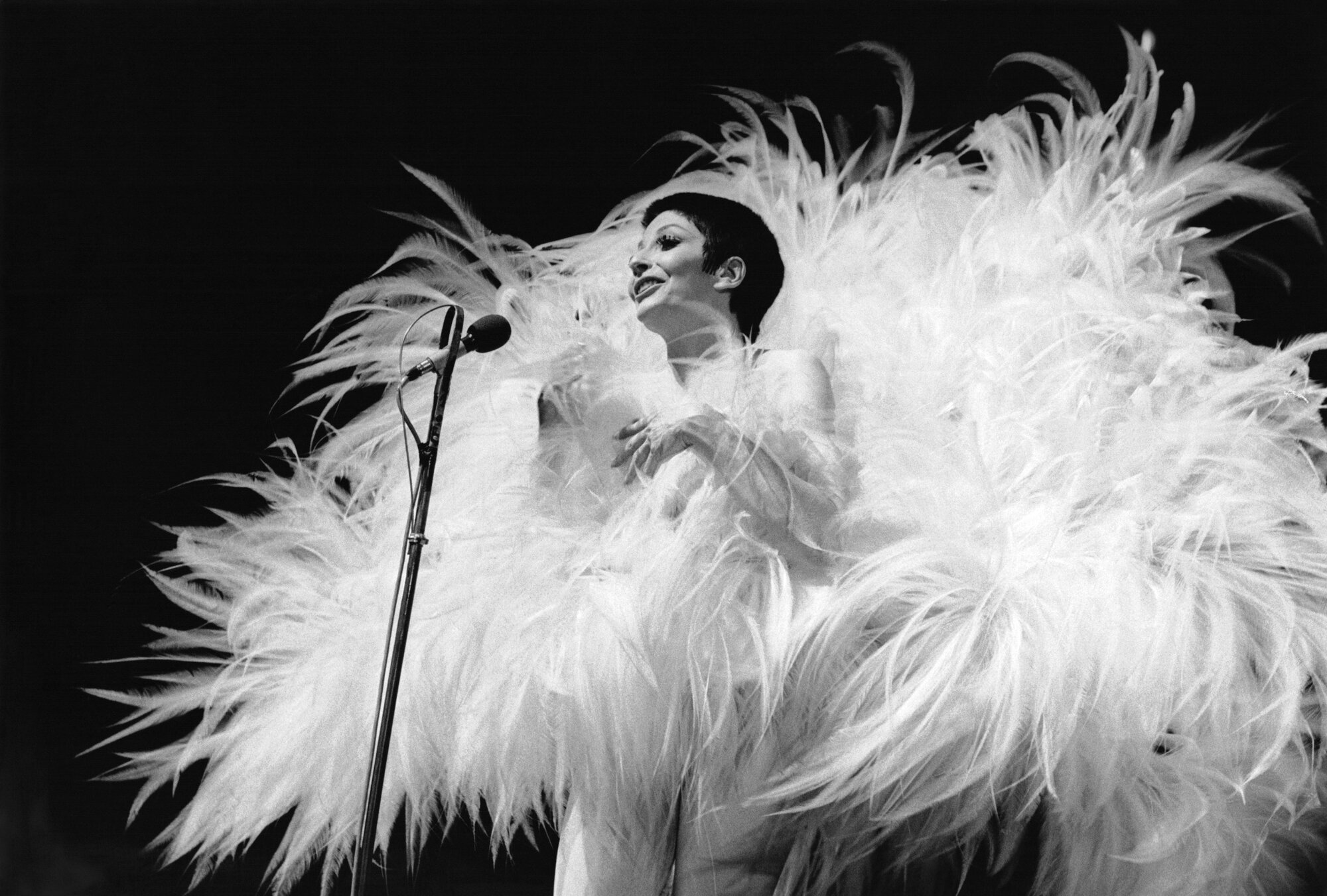 Renee 'Zizi' Jeanmaire