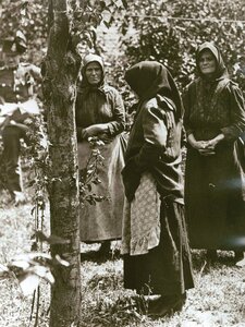 A Horthy-korszak fekete özvegyei: A tiszazugi méregkeverő asszonyok, akik arzénnal küldték másvilágra családtagjaikat