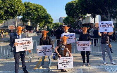 A PETA tüntetői zavarták meg Glen Powell és Daisy Edgar-Jones új filmjének Los Angeles-i premierjét