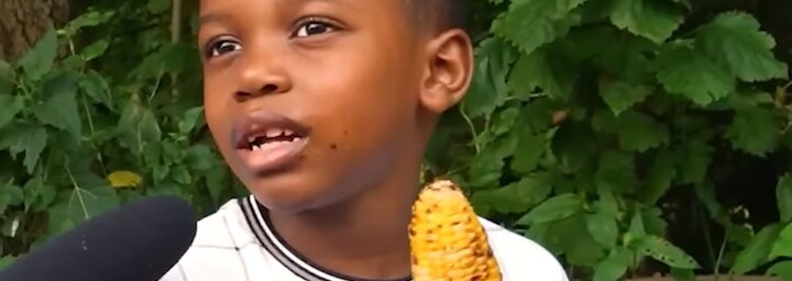 A kukoricaimádó kisfiún át Lizzo fülbemászó trendzenéjéig: ezek a kontentek taroltak idén a TikTokon