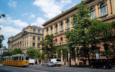 A magyar egyetemisták háromnegyede dolgozik, a friss diplomások fele külfölddel szemezget