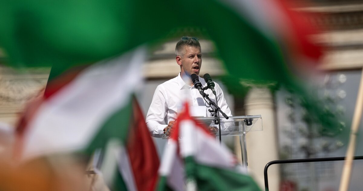 Átvállalja a kirúgott kölcseys tanárok perköltségét a Tisza Párt