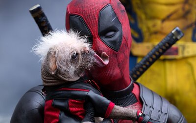 Brutálisan erős nyitóhétvégével döntött rekordot a Deadpool & Rozsomák