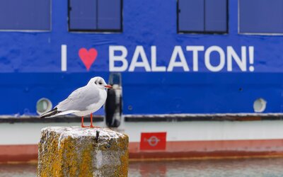Elöregedőben a Balaton lakossága, fiataloknak adnának olcsó telkeket egy tóparti településen