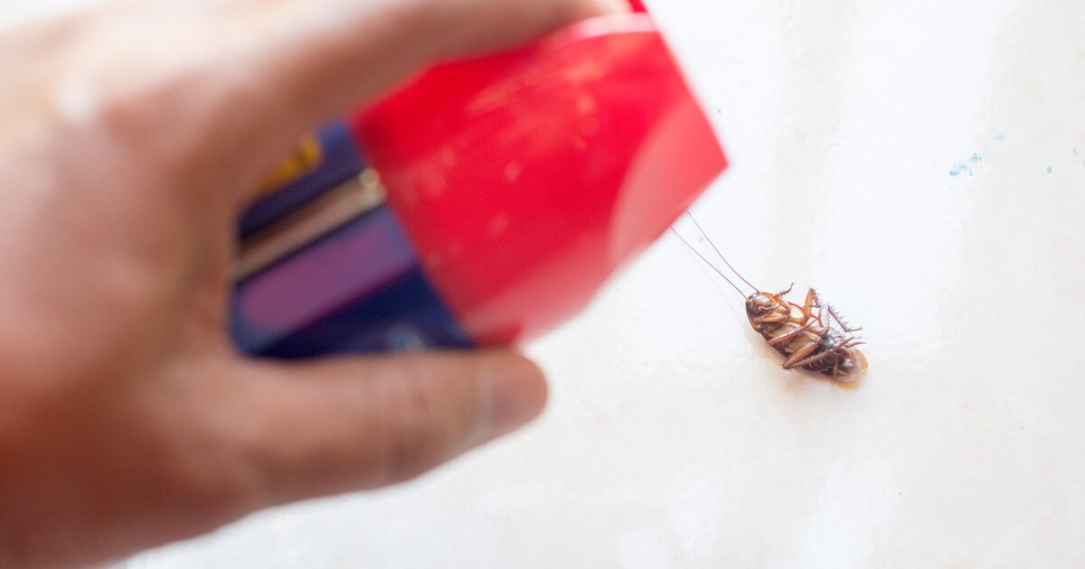 Fel akart gyújtani egy csótányt, halált okozó tűzeset lett belőle