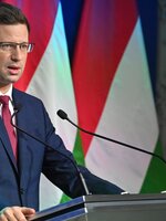 Gulyás: Amíg a Fidesz kormányoz, nem lesz legális a fű Magyarországon