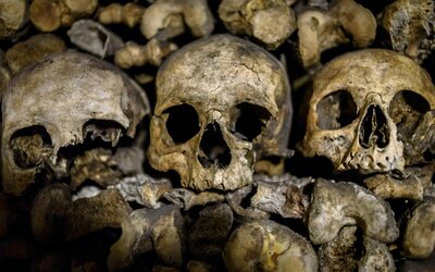 Halottak csontjaival csencseltek a Pécsi Tudományegyetem munkatársai