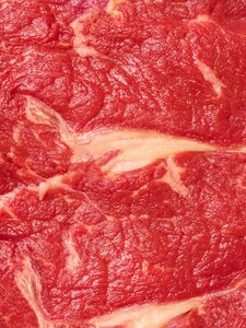 Hódít a TikTokon a carnivore-étrend, a nyers húsos diéta, mely gyors fogyást ígér, de valójában orosz rulett az immunrendszerrel