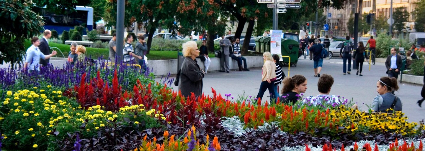 KVÍZ: Te felismered Magyarország főtereit a Google Street View képeiről?