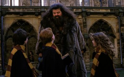 KVÍZ az igazi Harry Potter-fanoknak: mennyire ismered Hagridot? 