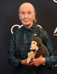 Kiderült, miben hunyt el Jane Goodall