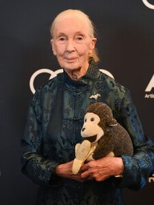 Kiderült, miben hunyt el Jane Goodall
