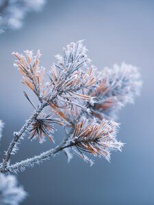 Leesett az első hó, de azért ez még nem az a hó