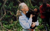 Májusban Budapestre jön Jane Goodall, a világ egyik legnagyobb környezetvédője