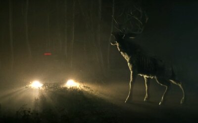 Megérkezett a Bambi horrorváltozatának előzetese