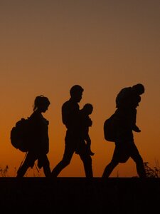 Menedékjogi kérelmek elbírálásáról és biztonságosabb határátlépésről szóló migrációs és menekültügyi paktumot fogadott el az EP
