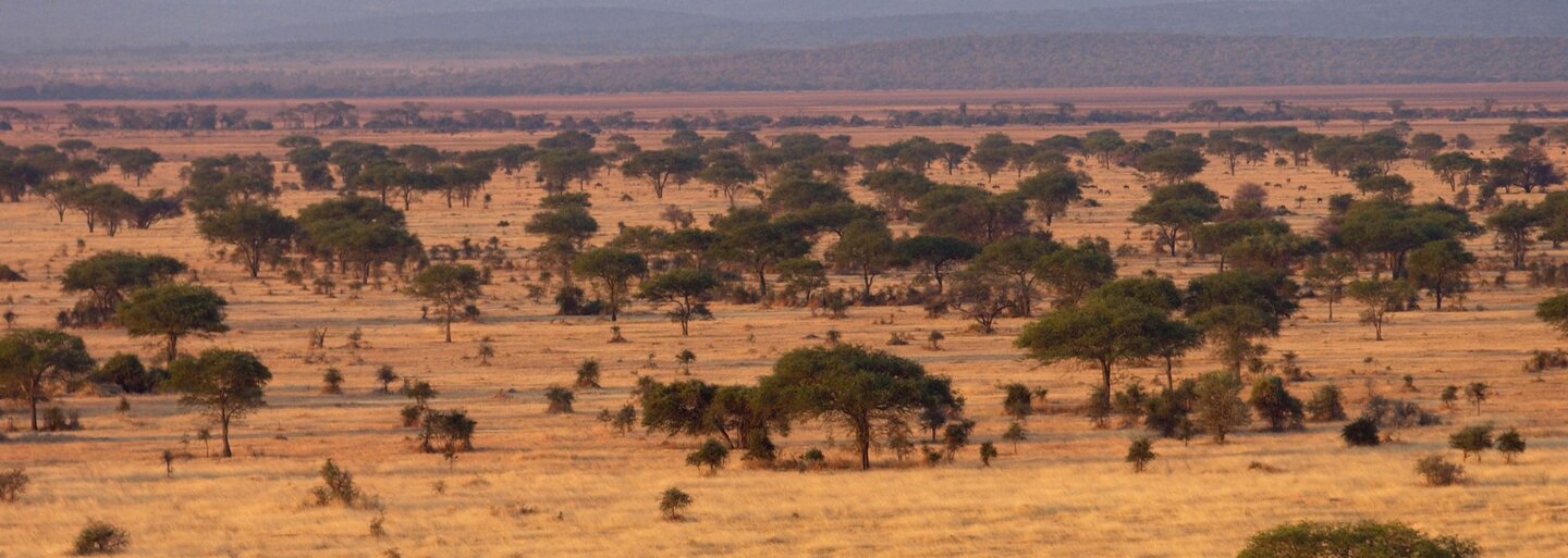 Mit keres egy keszthelyi lány az afrikai dzsungelben? – Interjú a Szívemben született Afrika misszió elnökével