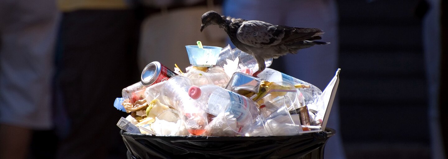 Noryna Diamondtól a „Mi van a táskámban?“ videókig – interjú a trash kultúráról Dr. Guld Ádám médiakutatóval