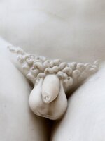 REFRESHER-KVÍZ: Te mennyit tudsz a péniszekről? 🍆🔞