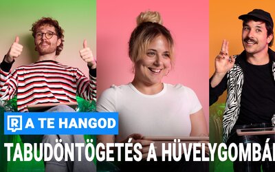 Tabudöntögetés a hüvelygombáról (MIT TUDSZ RÓLA, MITŐL ALAKUL KI, MIT TEHETÜNK ELLENE?) – A Te Hangod