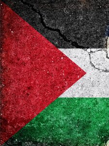 Több iPhone is a palesztin zászlót ajánlja, ha a felhasználó Jeruzsálemre keres rá az emoji billentyűzeten