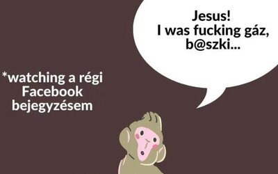 We are very szomorúak: bejelentette visszavonulását a Kéttanos Animals Insta-oldal 