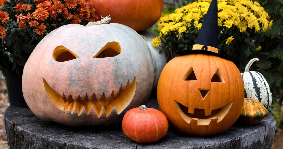 Zebegény polgármestere betiltotta a halloweeni tökfaragást