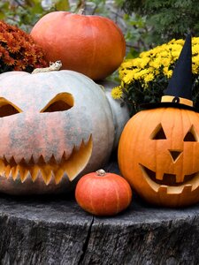 Zebegény polgármestere betiltotta a halloweeni tökfaragást