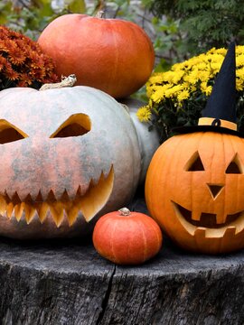 Zebegény polgármestere betiltotta a halloweeni tökfaragást