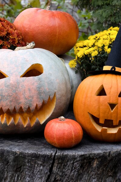 Zebegény polgármestere betiltotta a halloweeni tökfaragást